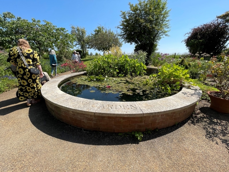 Hospice Pond Smaller