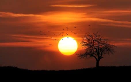 Planning for the end of life