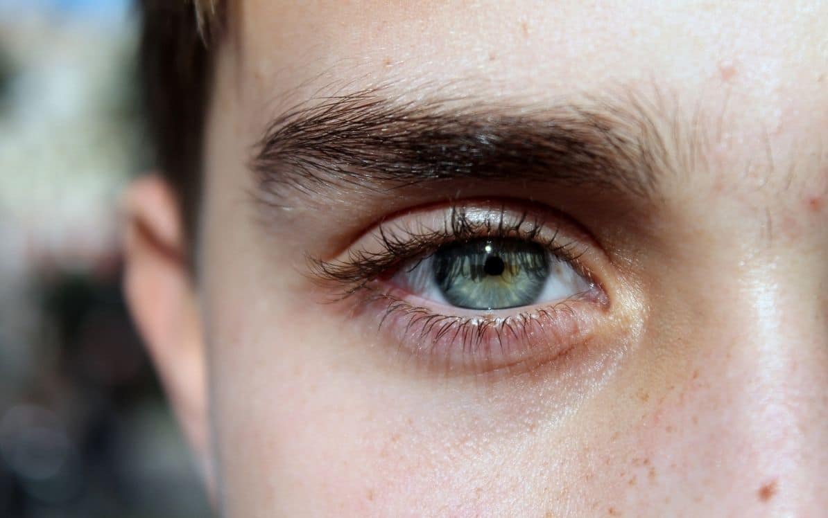Close up of a green eye with a dark eyebrow.