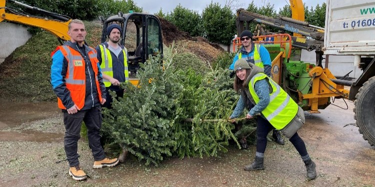 Christmas Tree-cycle sponsorship Four people in safety vests handling Christmas trees next to a wood chipper for the Katharine House Hospice Christmas Tree-cycle scheme.