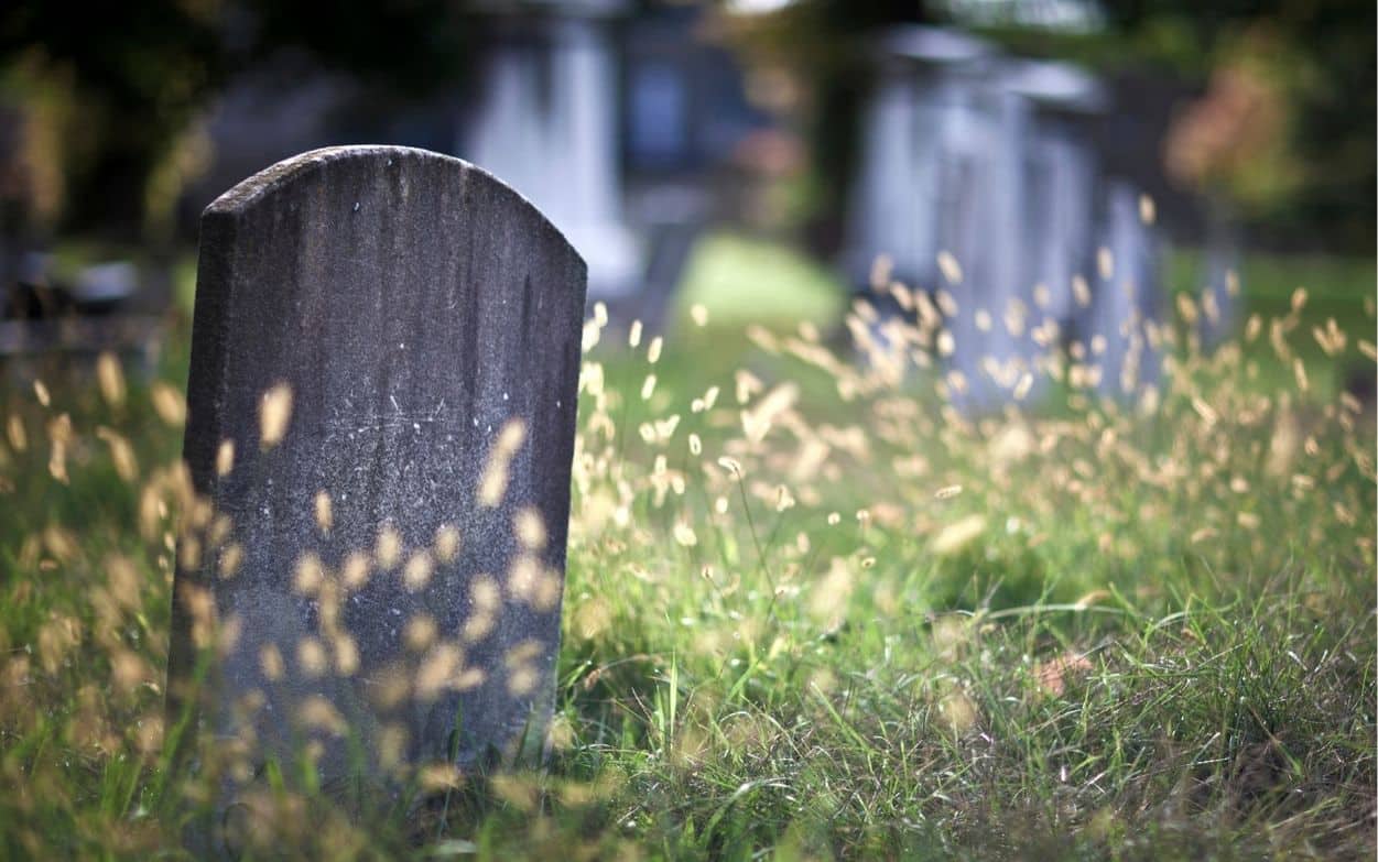 Old gravestone in a grassy cemetery with blurred background.