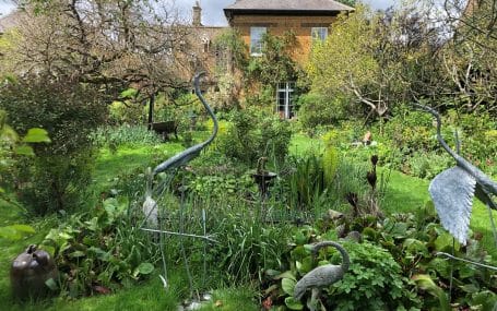 Gardeners urged to rake in the cash