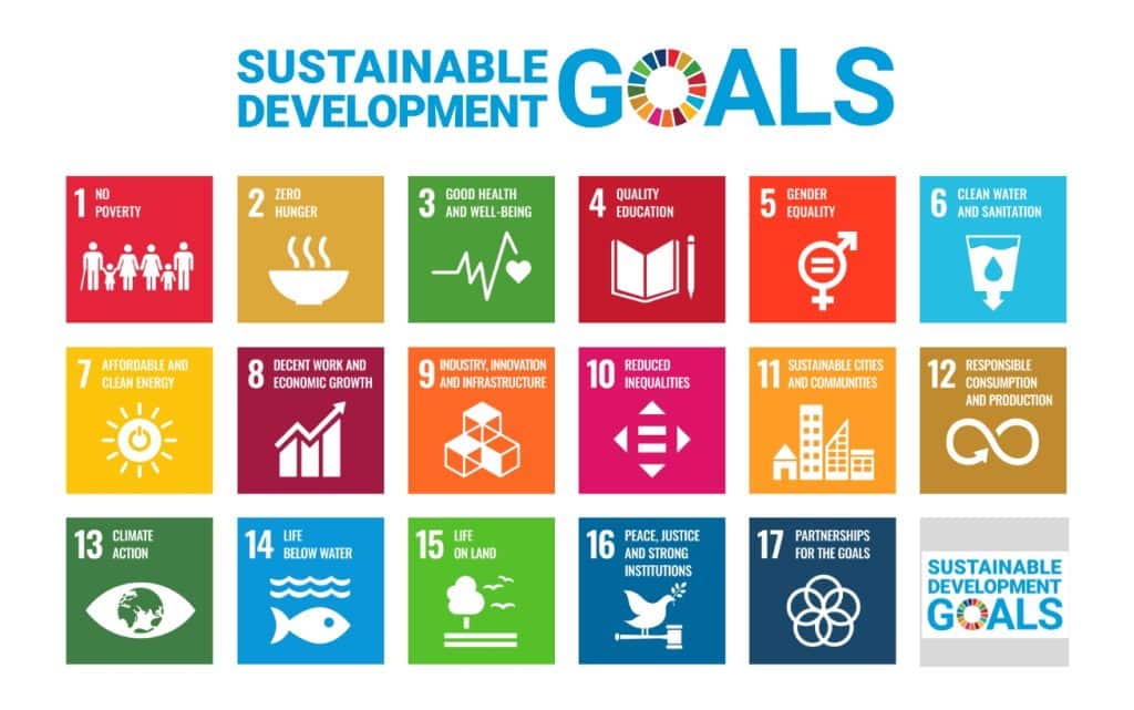 Sustainable development goals infographic