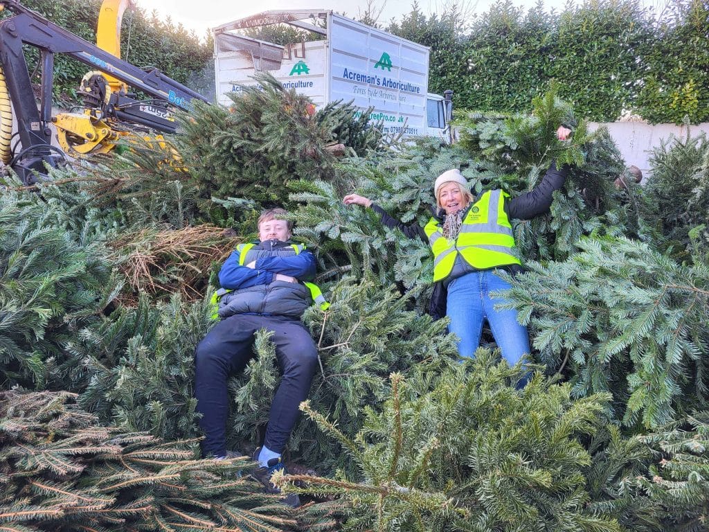 Volunteers on trees at tree cycle