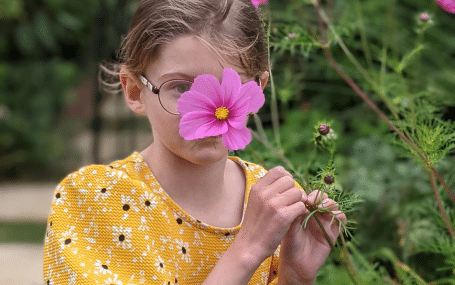 Open Gardens Support Banner
