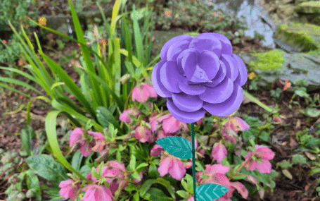 Rose to Remember