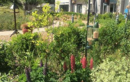 Brackley Care Home Open Garden