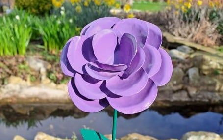 Purple Rose At Hospice 455x285