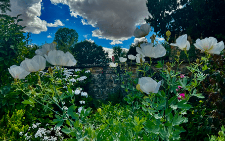 Open Gardens welcomes new locations 